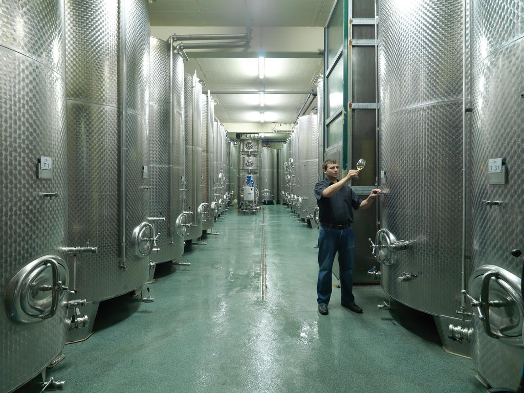 Weingut Skoff Original 호텔 게믈리츠 외부 사진